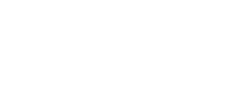 logo de dragón blanco